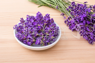 lavender blossoms