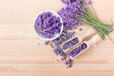 lavender flowers