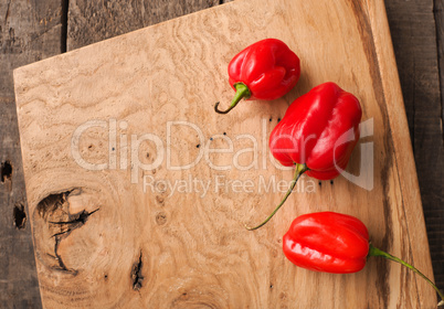 Hot and spicy Habanero chili
