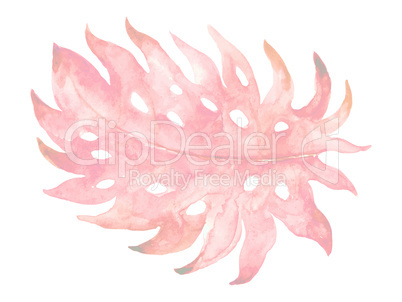 Isolated pastel pink leaf on white background