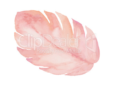 Isolated pastel pink leaf on white background