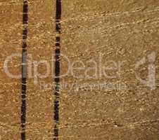 brown wood texture background