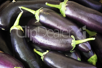 Ripe eggplant closeup.