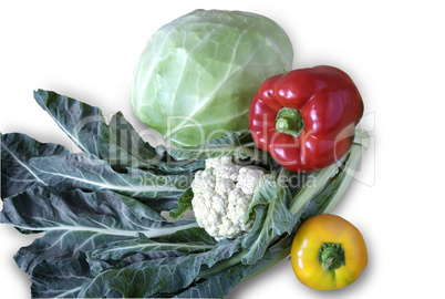 Group of different vegetables on a white background.