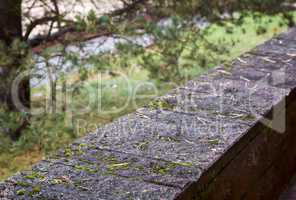 A fragment of stone wall in the Park.