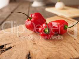 Hot and spicy Habanero chili
