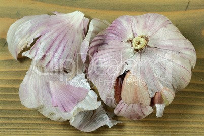 Bulb Garlic