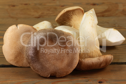 King Oyster Mushrooms