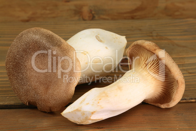 Two King Oyster Mushrooms