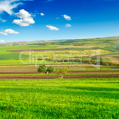 beautiful rural landscape