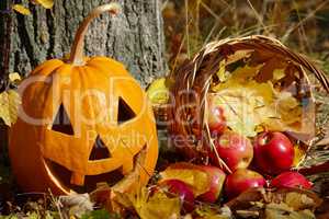Halloween pumpkin and a basket with apples on the background of
