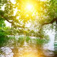 Bright sunrise on shore of picturesque lake