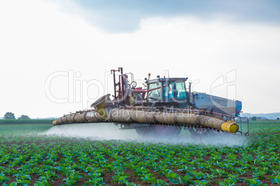 tractor sprays weed killer glyphosat on field