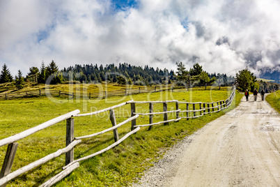 Hiking landscape in South Tyrol