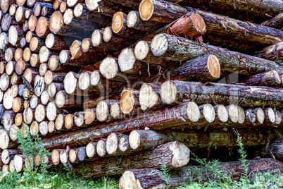 Stacked round logs