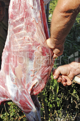 butcher cuts goat carcass