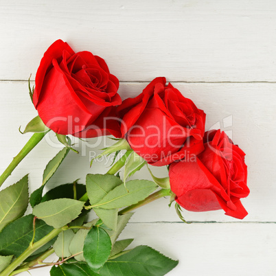 Beautiful red roses on a white wooden background. Flat lay, top