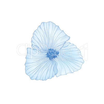 Flower isolated. Floral engraving illustration. Vector set.