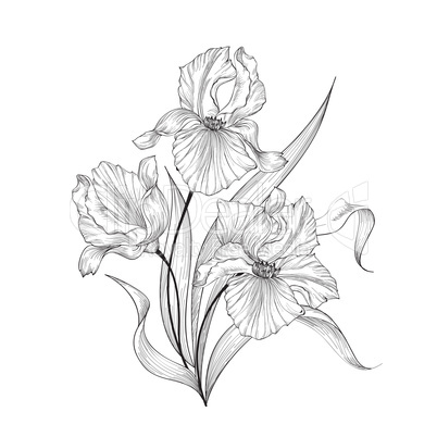 Floral bouquet, flower iris. Fourish Greeting Card Design