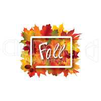 Fall leaves sign. Autumn leaf frame. Nature background.