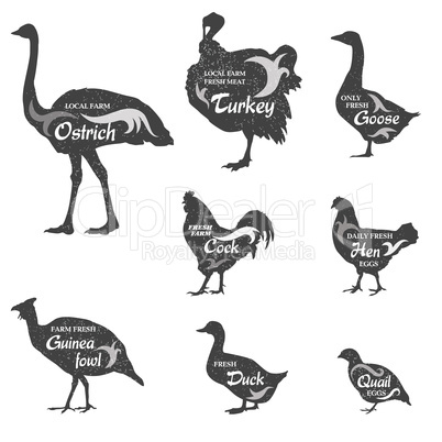 Poultry silhouette sign set. Livestock groceries, meat store label