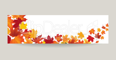 Fall leaf nature banner Autumn leaves season background