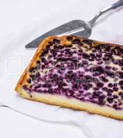 baked pie from cottage cheese and blueberries o