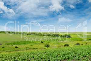 Hilly green field and windmill on blue sky background.