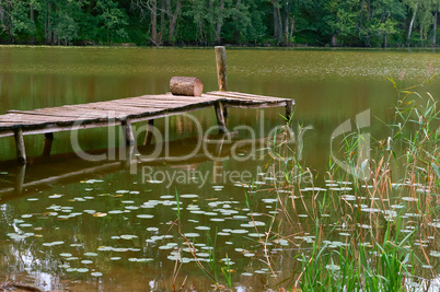 pier for fishing, marshland, reflection of trees in the pond, a picturesque pond in the forest
