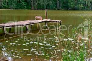 pier for fishing, marshland, reflection of trees in the pond, a picturesque pond in the forest