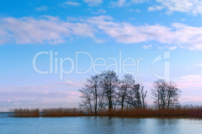 pink sky three tree shore pond, white feather clouds, the sky clouds