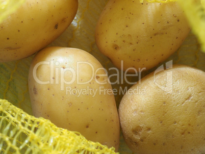 potato vegetables food