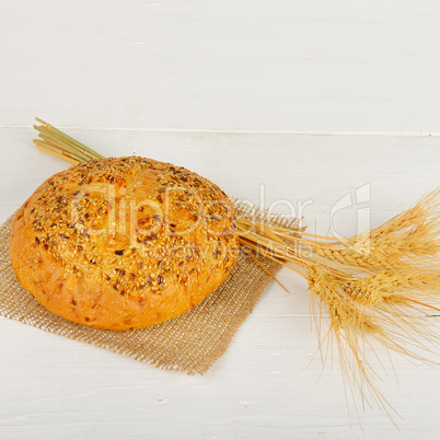 Fresh bread and wheat on the wooden table. Free space for text.