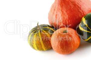 Pumpkins isolated on white background. Free space for text.