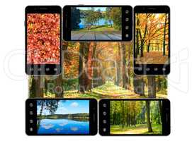 mobile phones with images of autumn