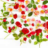 Red roses isolated on white background. Flat lay, top view.