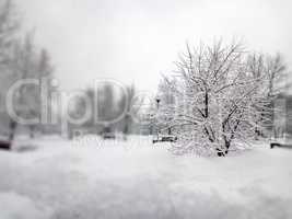 city park after snowfall at day