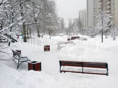 city park after snowfall at day