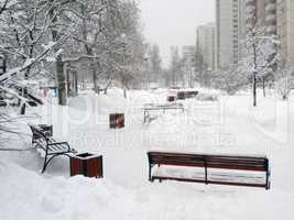 city park after snowfall at day