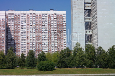 summer in city park