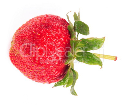 one raw red Strawberry