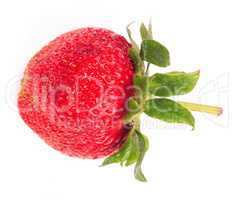 one raw red Strawberry