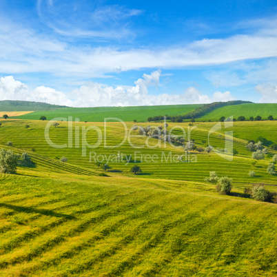 Green field and blue sky. Picturesque hills formed by an old riv