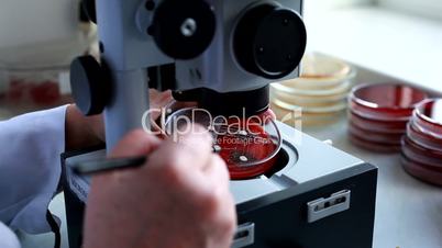 Different frames on medical subjects filmed in medical laboratories. Equipment, tests, experiments