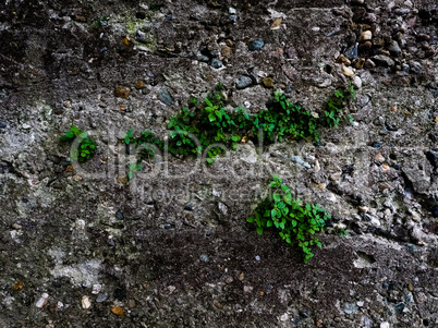 grunge dark grey concrete texture background