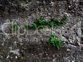 grunge dark grey concrete texture background