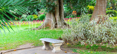 Beautiful tropical park and stone bench for relaxation.