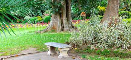 Beautiful tropical park and stone bench for relaxation.