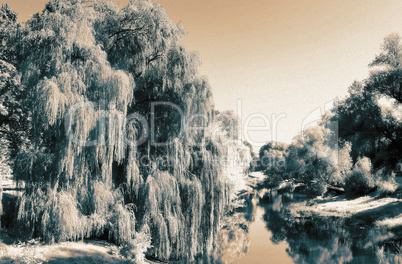 Landscape: small river and the trees on the Bank. The effect of infrared film