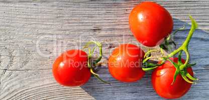 Red tomatoes on wooden surface. Wide photo.